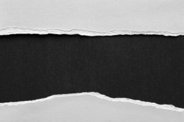 Ripped paper