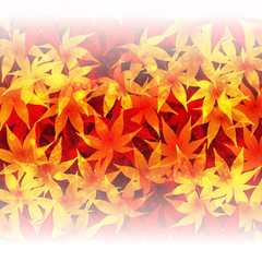 もみじ　紅葉　背景