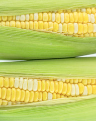 two corn