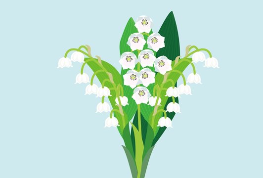 スズラン Images Browse 1 691 Stock Photos Vectors And Video Adobe Stock