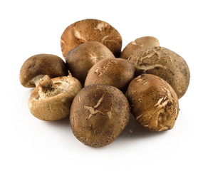 Shiitake mushrooms (Lentinula edodes).