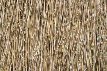 rice straw background
