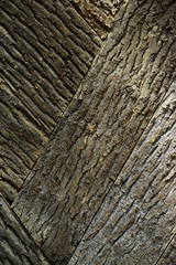 Wooden texture close-up