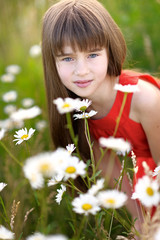 portrait of a beautiful little girl with chamomile