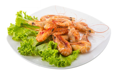 Big tiger shrimps