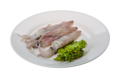 Raw calamari