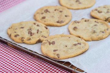 Beautiful fresh hand made chocolate chip cookies