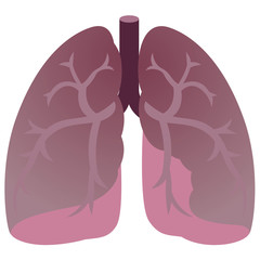 医療　肺　臓器