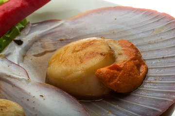 Grilled scallops