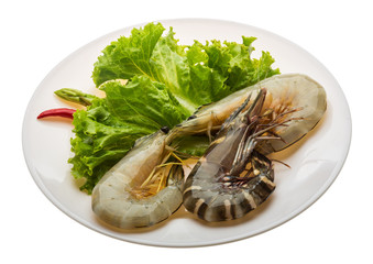 King and waterleg shrimps