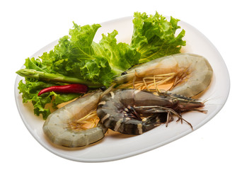 King and waterleg shrimps