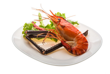Giant Freshwater Prawn