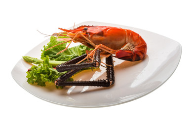 Giant Freshwater Prawn