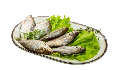 Crucian fish