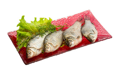Crucian fish