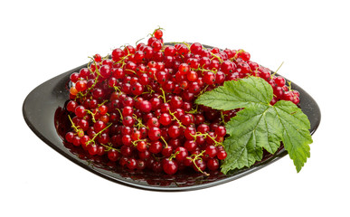 Red currant