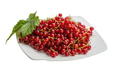 Red currant