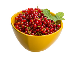 Red currant