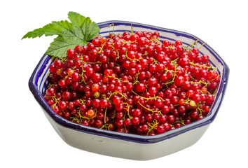 Red currant