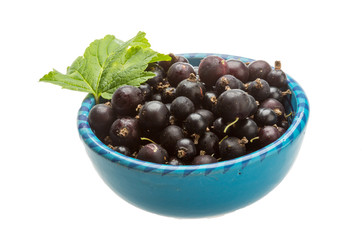 Black currant