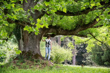 Beautiful woman under the massive maple tree