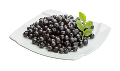 Blueberry