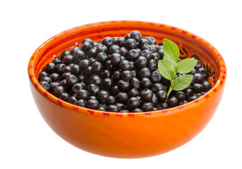 Blueberry