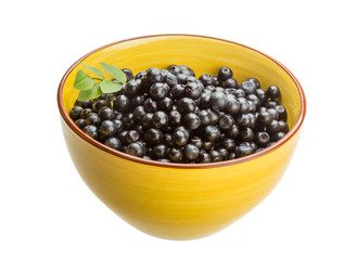 Blueberry