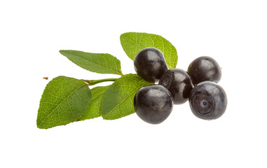 Blueberry