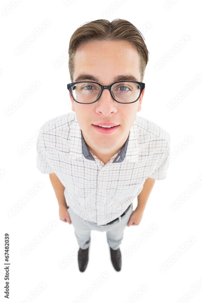 Poster Geeky hipster smiling at camera