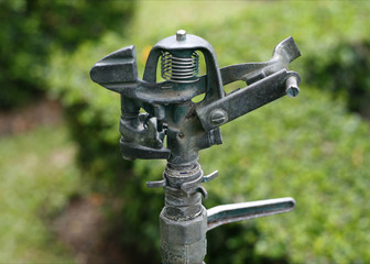 water springer on ground in garden