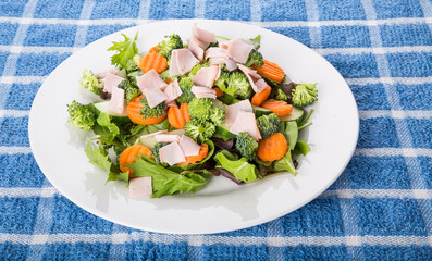 Fresh Salad of Greens Carrots and Sliced Turkey
