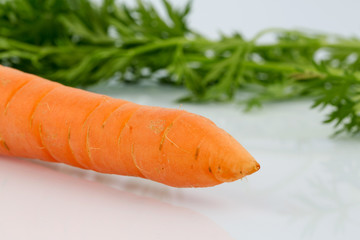 Frische Möhren