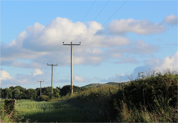 Down the wire