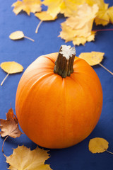 pumpkin on blue background