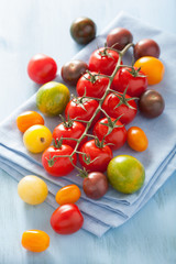 Naklejka na ściany i meble colorful tomatoes over blue napkin