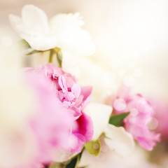 Abstract pink flowers