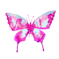 butterflies design