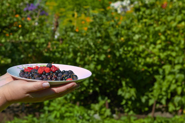 Ягодное угощение