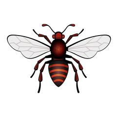 Red Bee Icon Vector
