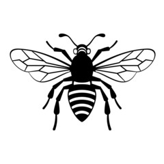 Bee Icon Vector