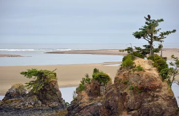 Oregon beach with rocks and trees