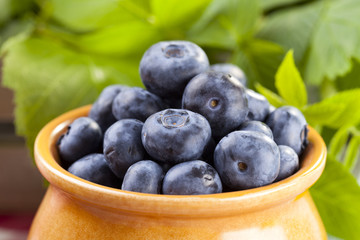 Jug with blueberries