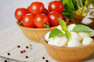 Mozzarella, tomatoes, basil and oil