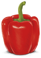 Red Pepper