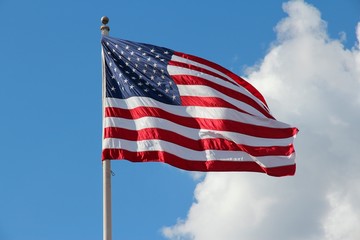 Flag of USA