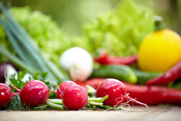 Vegetables on a wooden table in the garden