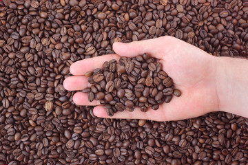 Coffee beans in human hand