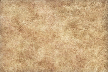 Animal Skin Parchment Grunge Texture Sample