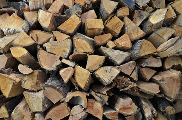 brennholz
